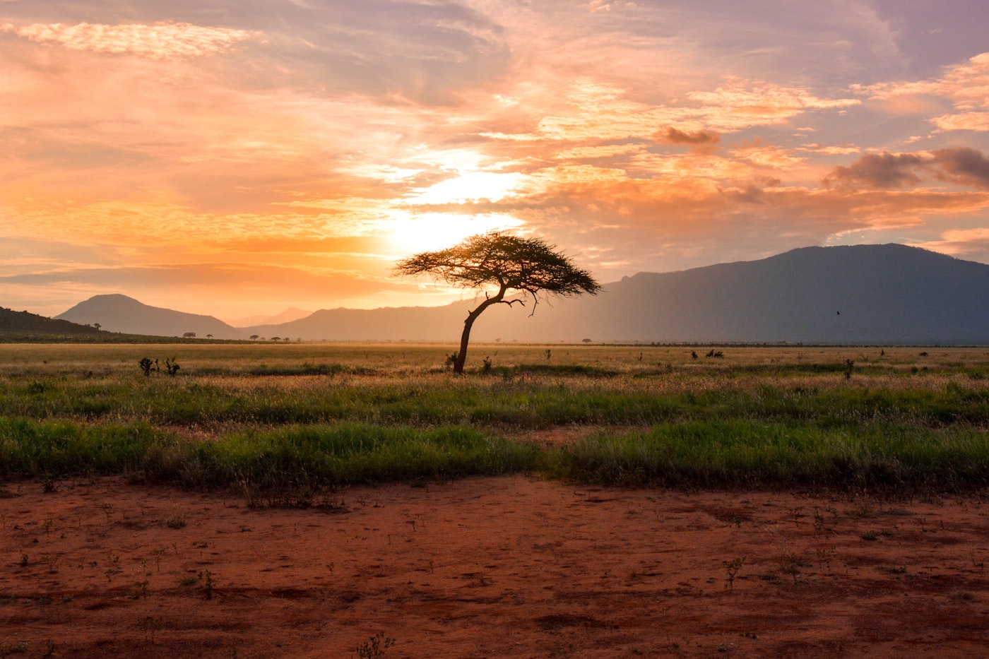 Sossusvlei red dune at sunrise with oryx silhouette