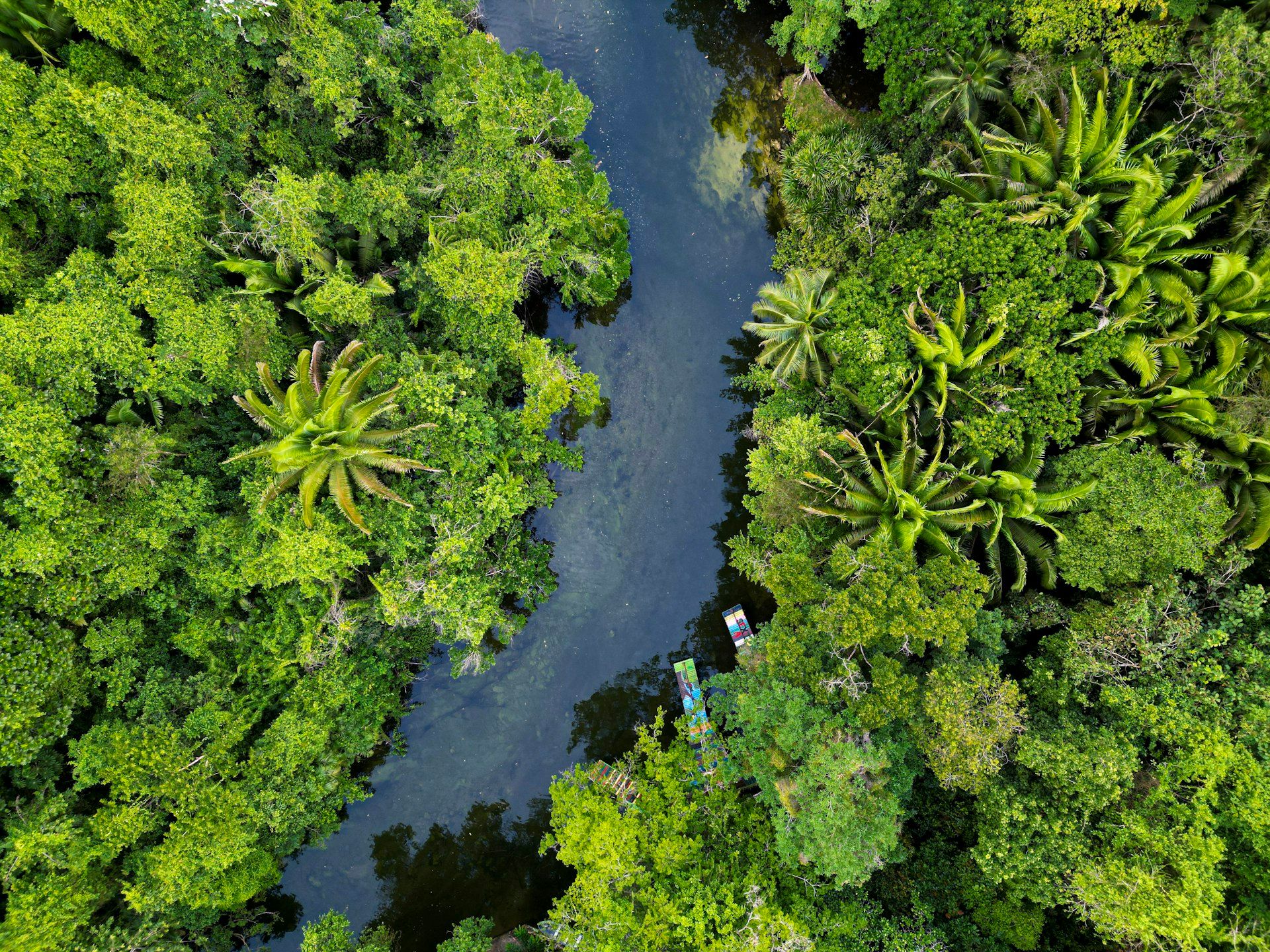 Aerial view of the Amazon River winding through dense green rainforest