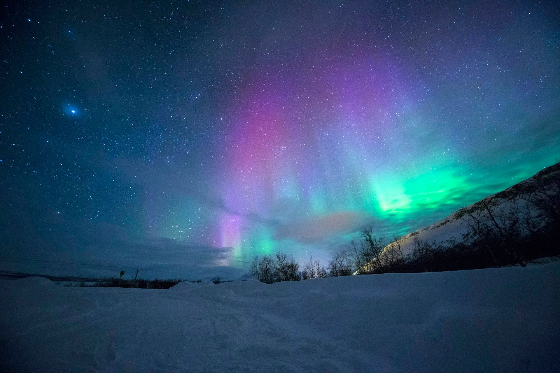 Northern lights dancing over a Norwegian fjord with snow-capped mountains