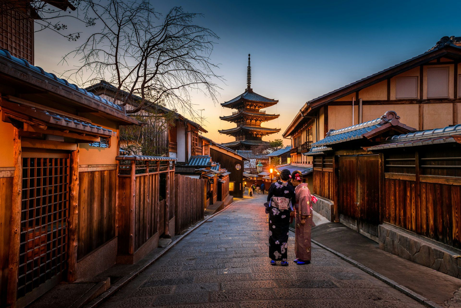 Traditional Japanese temple with cherry blossoms in Kyoto