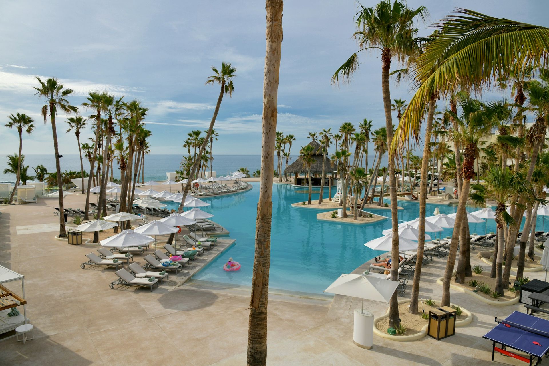 Luxury beachfront resort pool area with palm trees and ocean views